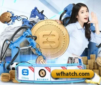 技术突破 - 通过国际安全认证,推出原生APP产品矩阵,平台内容持续丰富。
